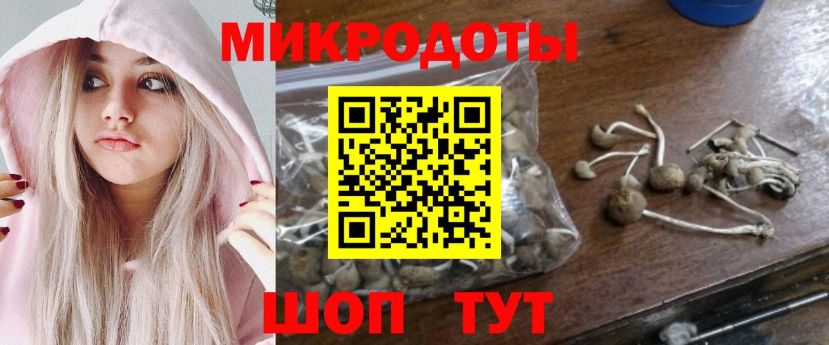 Ростов-на-Дону  Псилоцибиновые грибы GOLDEN TEACHER  Вход с VPN 